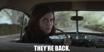 Image of They're back.