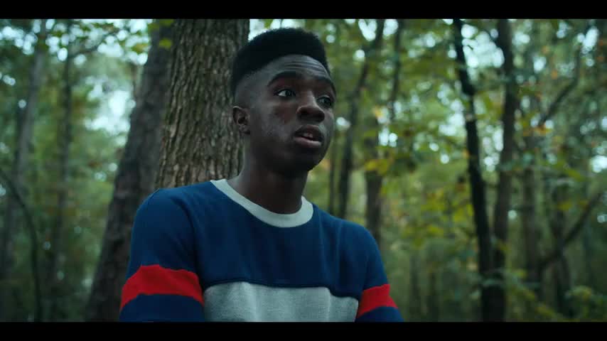 Clip of quote: There's a gate.