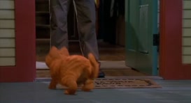 Clip of quote: You can't kick me out of my own house like I'm some kind of animal!