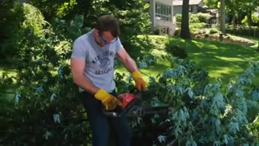Clip of quote: No...