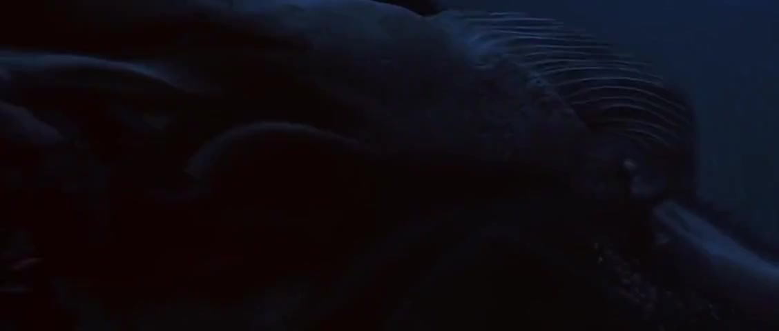 Clip of quote: There's always a bigger fish