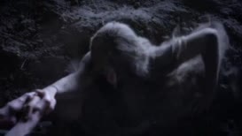 Clip of quote: Her head was bloody.